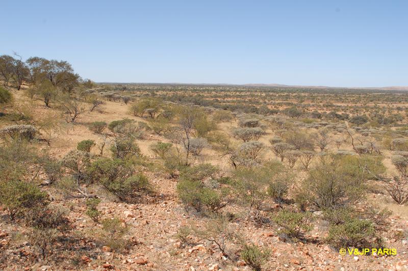 Carnavon Mullewa Road