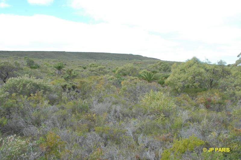 Coomaloo Creek