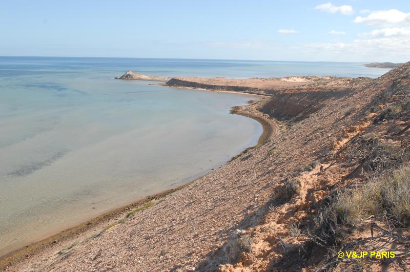 Shark Bay Eagle Bluff