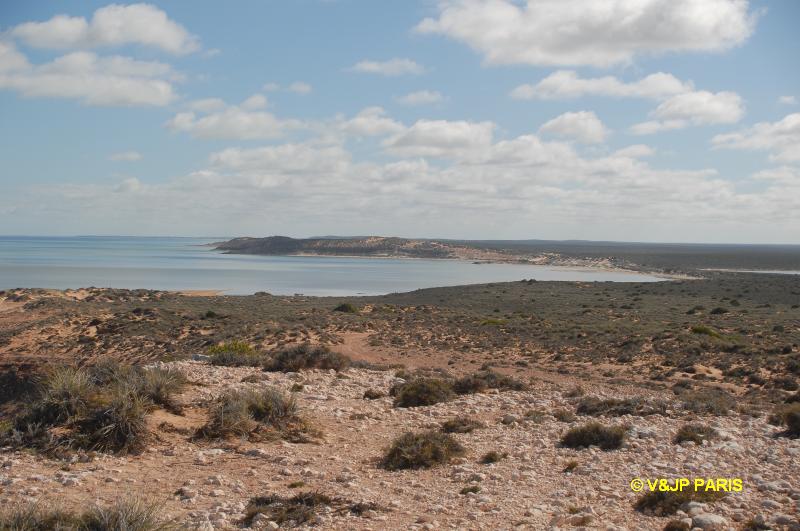 Shark Bay Eagle Bluff