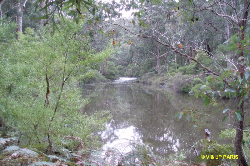 Manjimup,  Four Aces (Les quatres Aces)