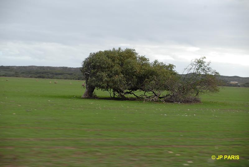 Geraldton, Australie de l'Ouest