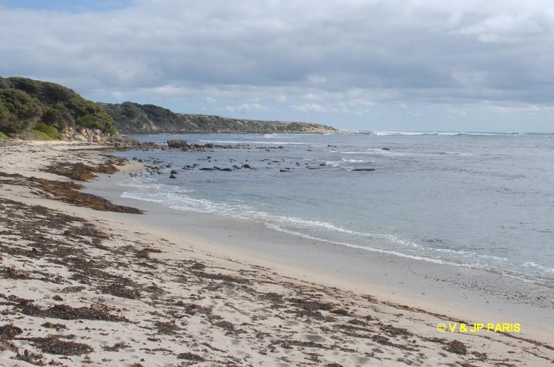 Gracetown