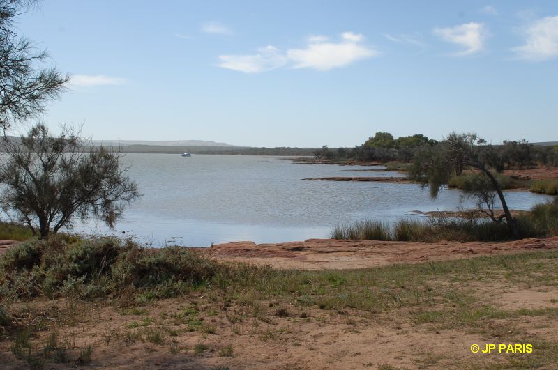Kalbarri, Murchison River