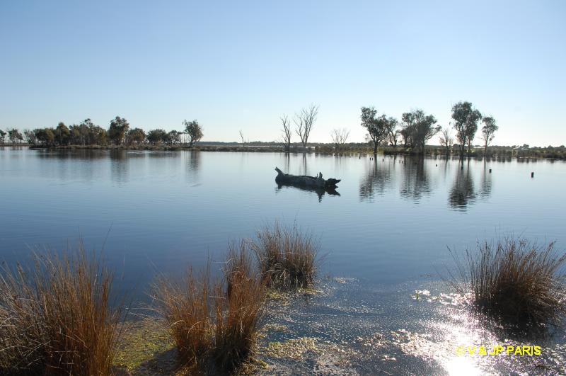 Ludlow State Forest, Busselton