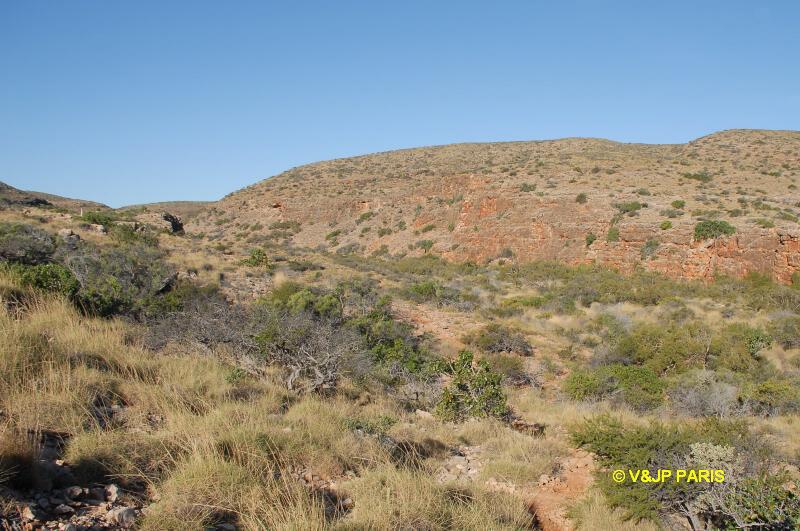 Mandu Gorge - Parc National de Cape Range