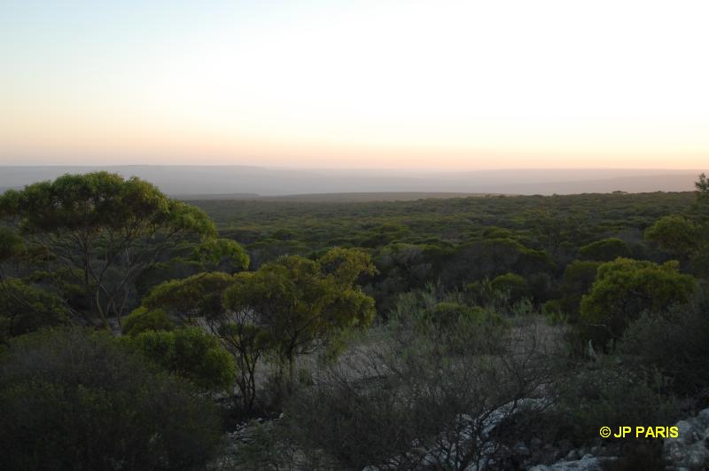 Kalbarri, Meanarra Hill