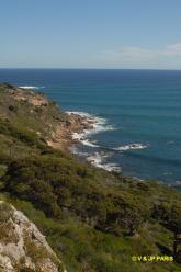 Cap Naturaliste
