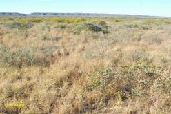 Parc National de Cape Range