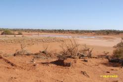 Carnavon Mullewa Road
