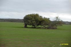 Geraldton, Australie de l'Ouest