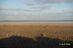 Lac Muir