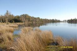 Foret et marais de Ludlow (Busselton)