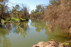 Murchison River Bridge
