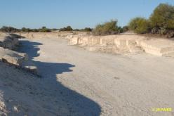 Stromatolite Hamelin Pool 
