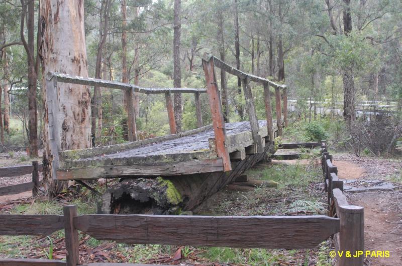 One Tree Bridge
