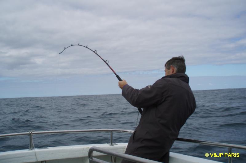 Pêche à Albany