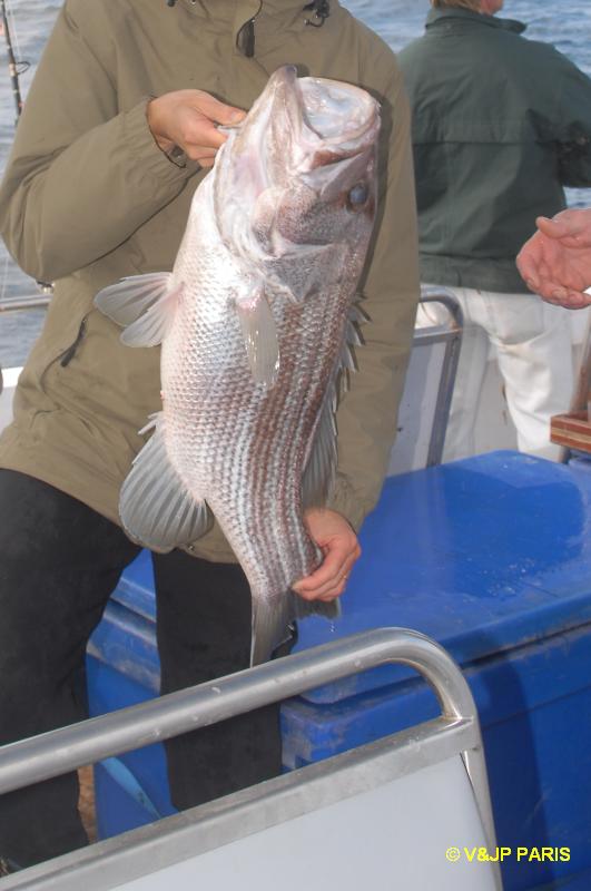 Pêche à Albany