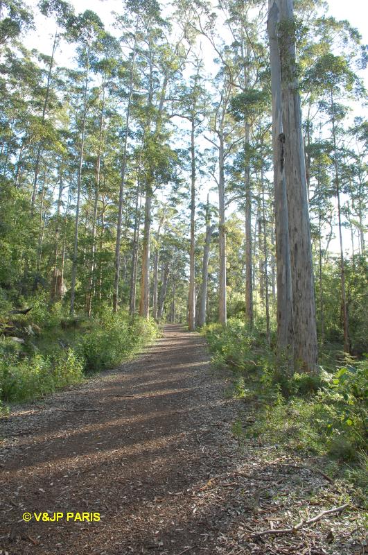 Parc National de Porongurup