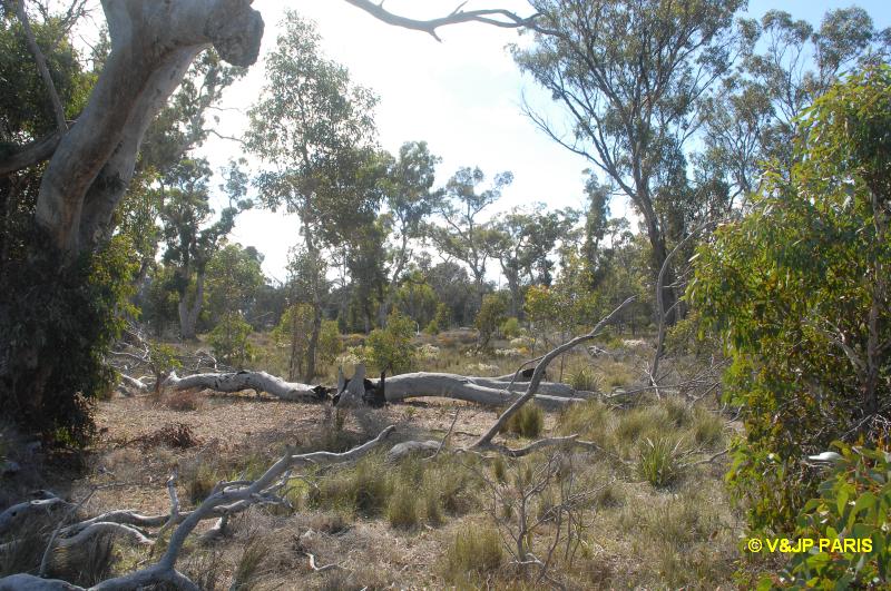 Parc National de Stirling Ranges