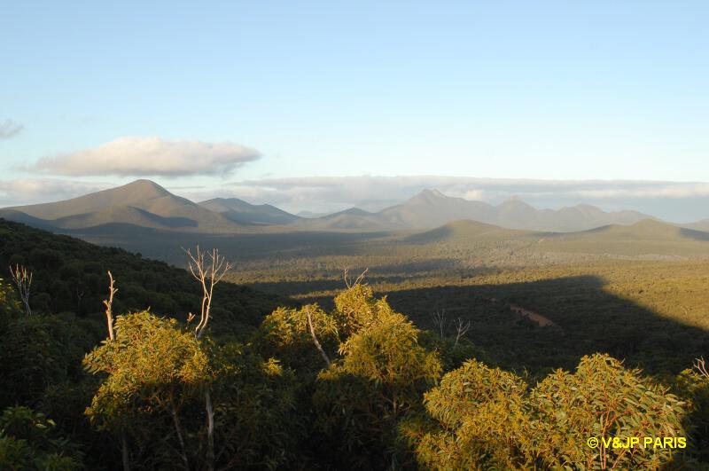 Parc National de Stirling Ranges