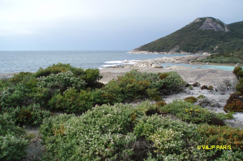 Two people Bay