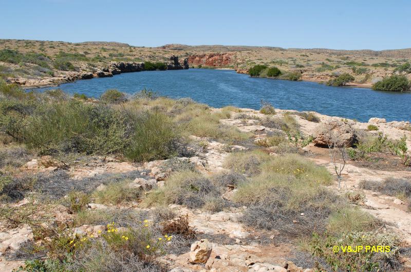Yardie Creek - Parc National de Cape Range
